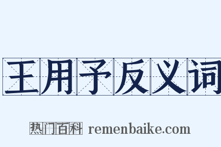 王用予反义词是什么意思的图片